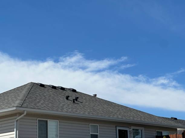 Best Chimney Flashing Repair  in Gulf Park Estates, MS